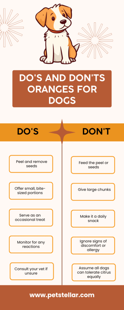 Can Dogs Eat Oranges?