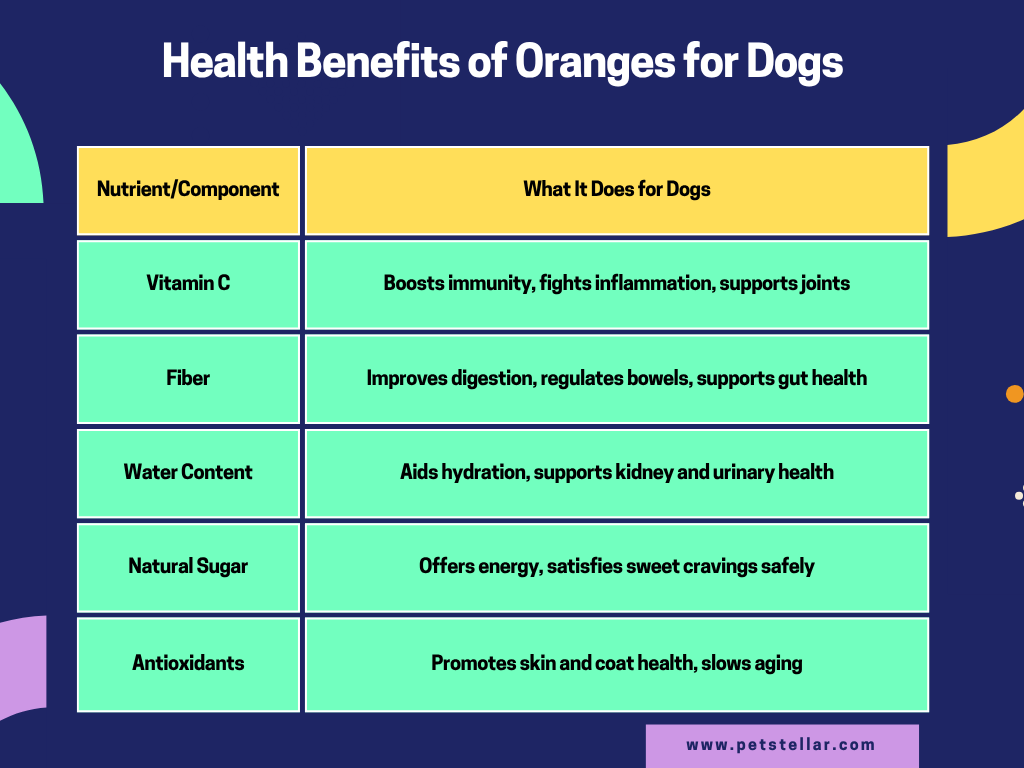 Can Dogs Eat Oranges?