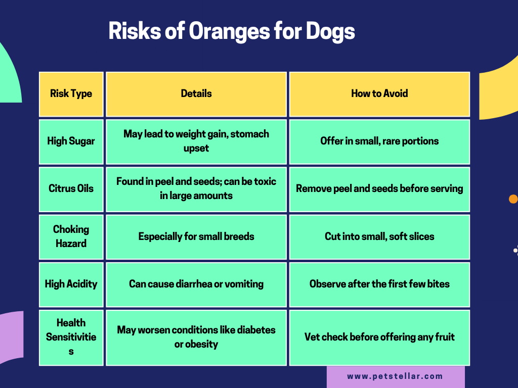 Can Dogs Eat Oranges?